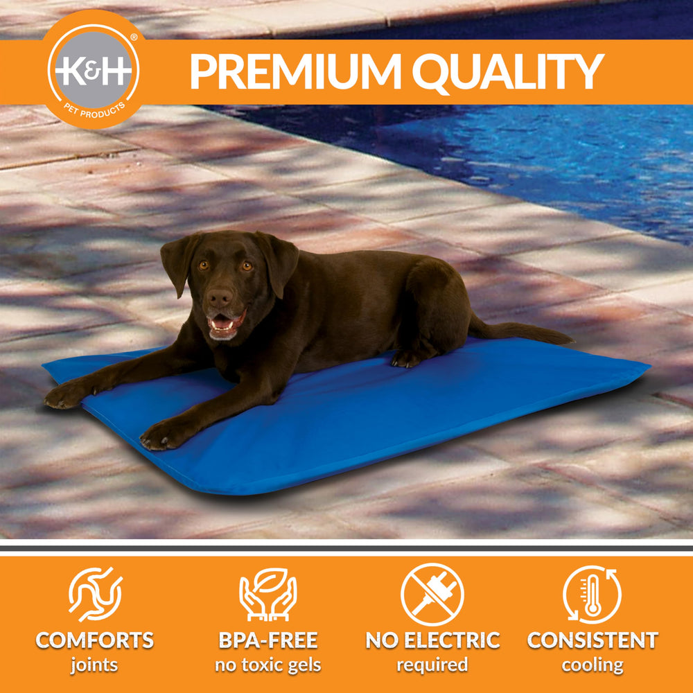 Grand format 44x32 pouces convient aux chiens de grande taille.