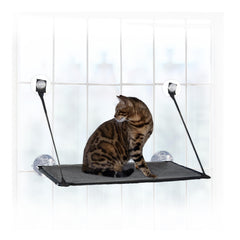 K&H Pet EZ Mount Window Sill: chat grand dans le soleil sur une surface confortable.