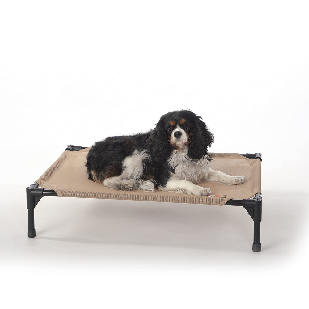 Lit chien extérieur surélevé K&H offre refroidissement et confort.