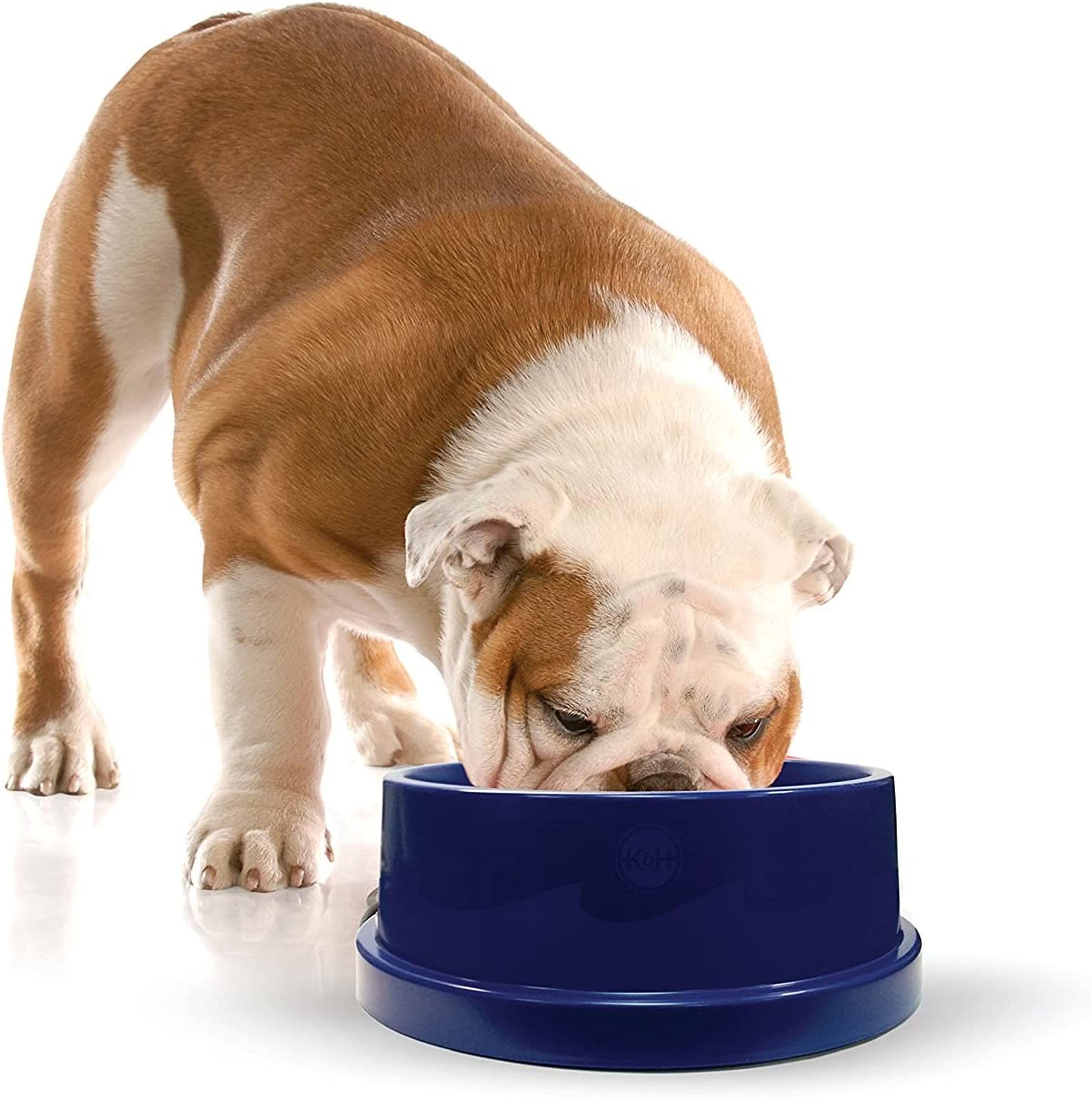 Bol d’Eau Coolin’ de K&H pour chien, 96 oz, eau fraîche durable.