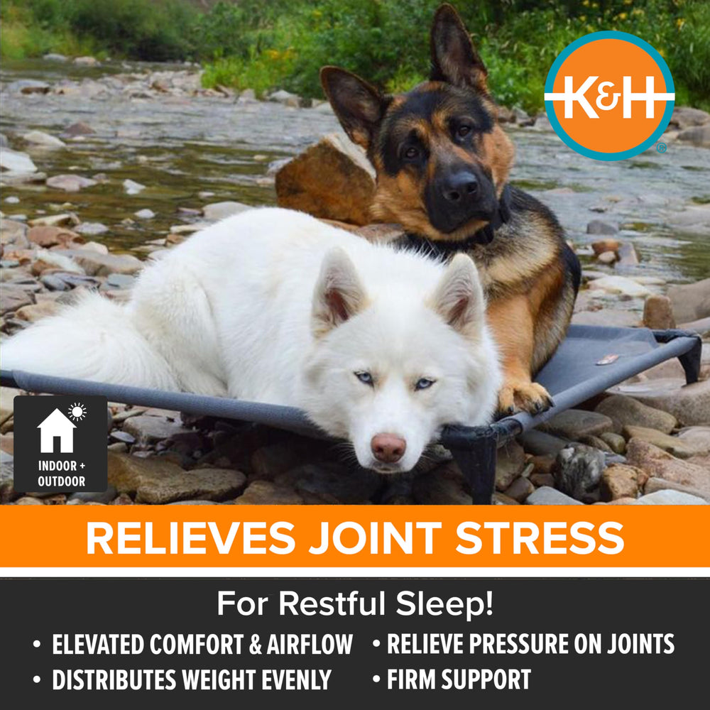 Design hamac K&H Pet Products soulage les articulations et assure le confort