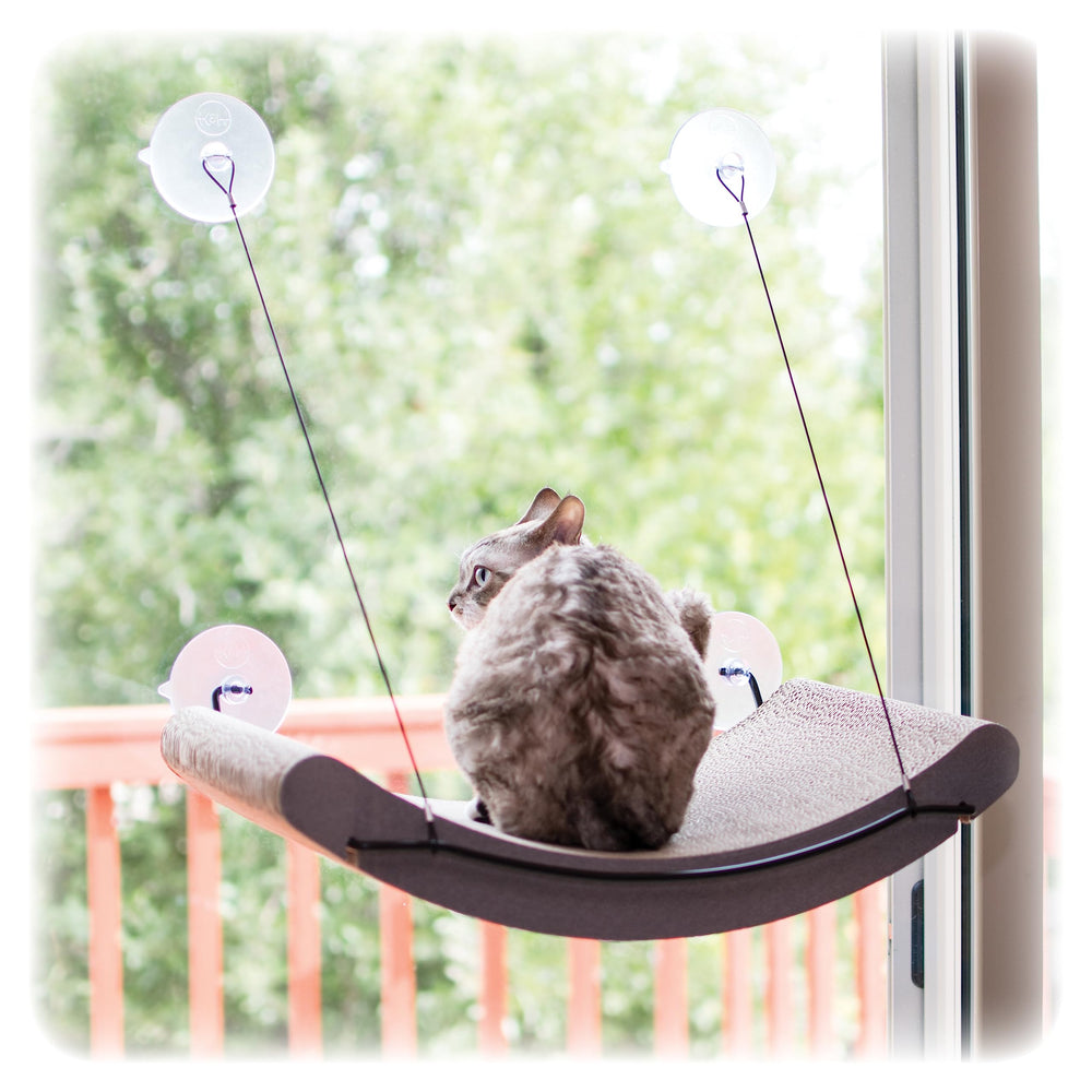 K&H Pet Products EZ Mount Perchoir Fenêtre Chat: repos au soleil près de la fenêtre