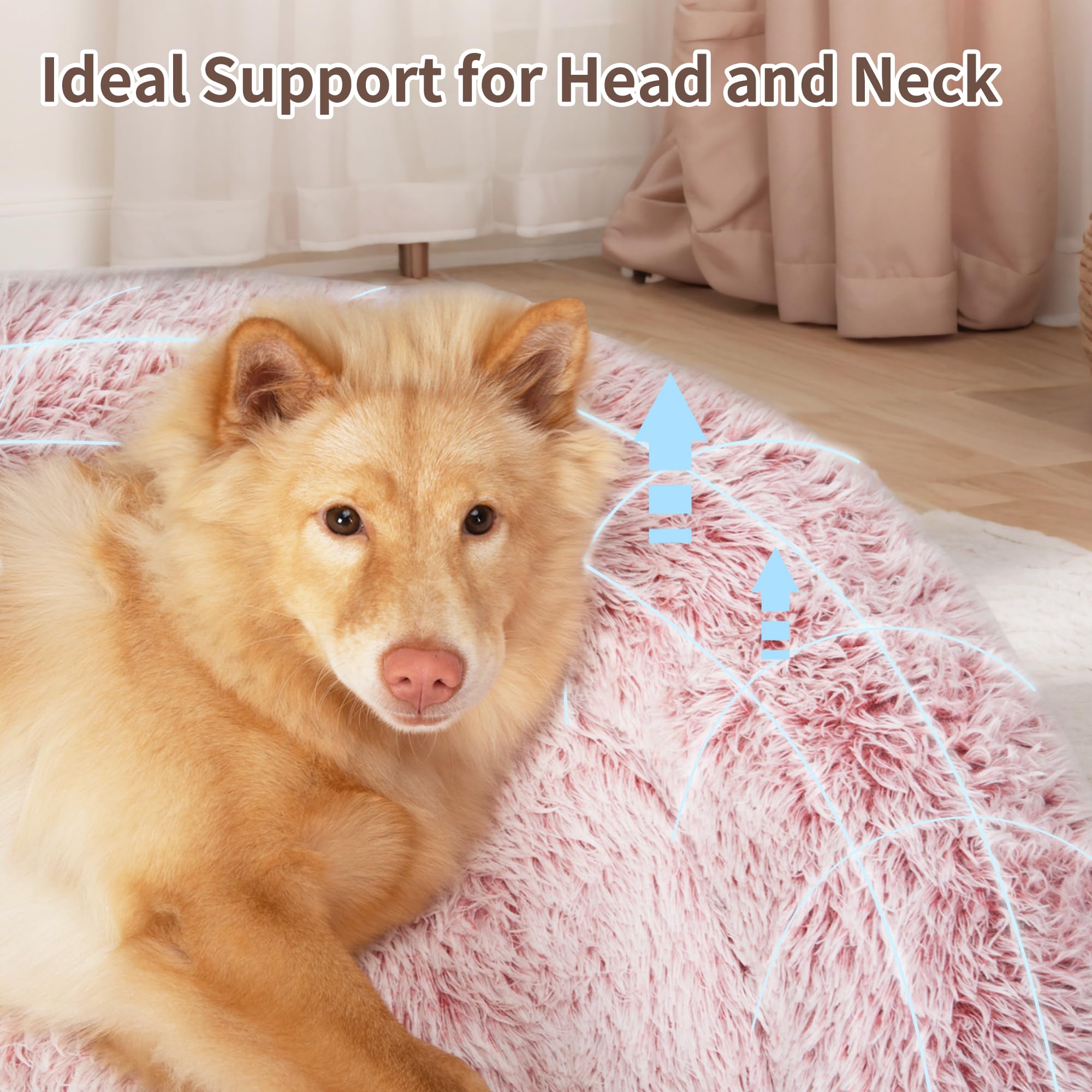 KHONSU PET: housse-amovible-lavable, nettoyage simple.