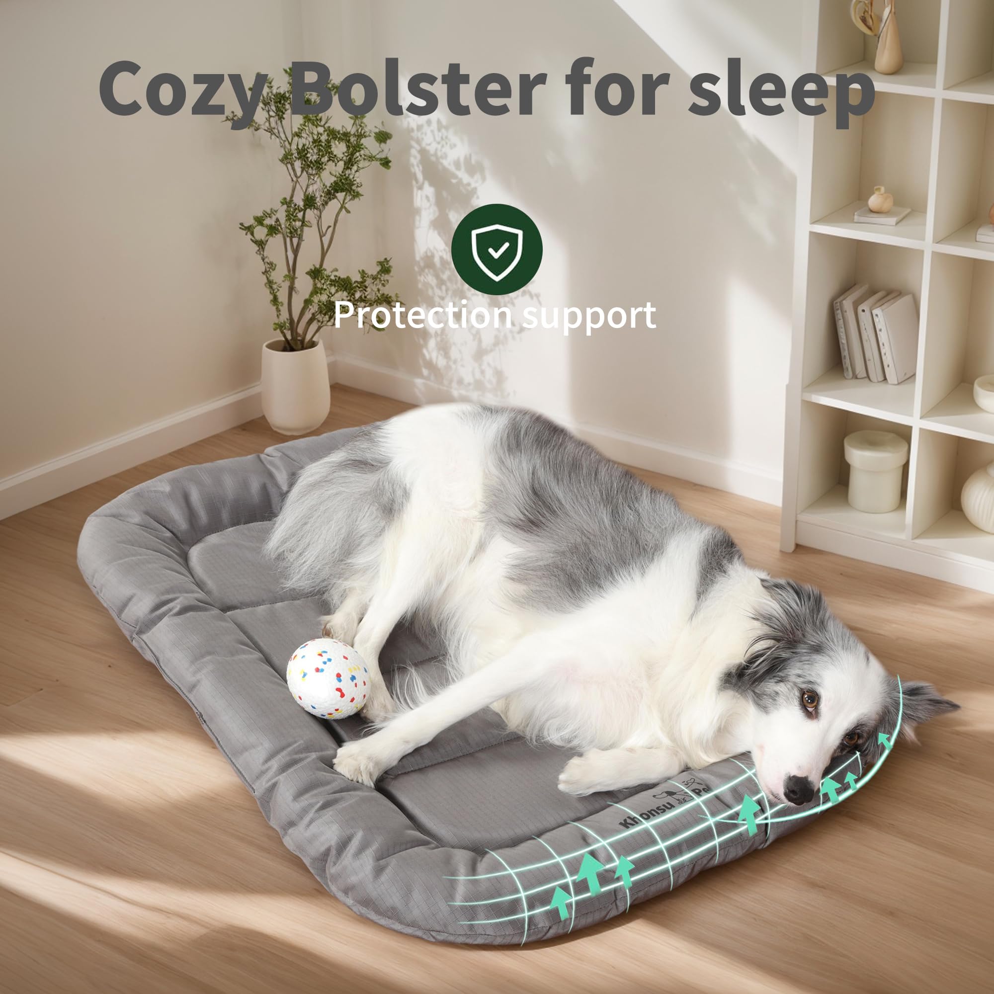 KHONSU PET lit durable, tissu oxford 1000D, grande résistance