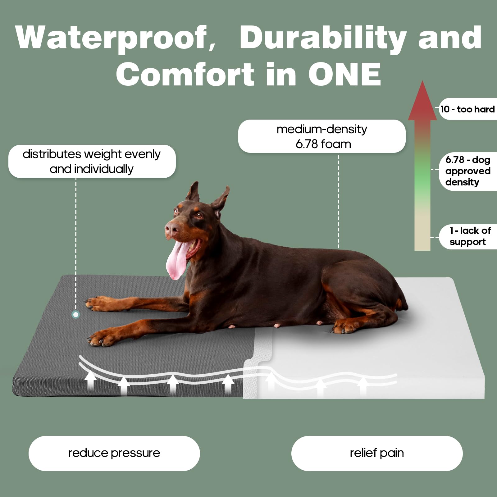 KHONSU PET rembourrage mousse densité moyenne – soutien confortable et équilibré.