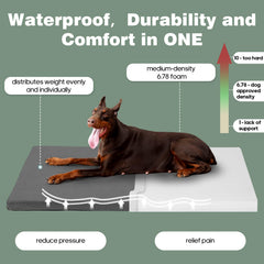 KHONSU PET rembourrage mousse densité moyenne – soutien confortable et équilibré.