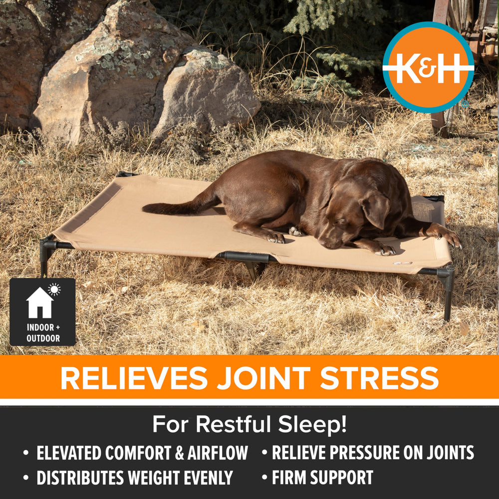K&H cadre métallique robuste, couchage XL pour grands chiens.