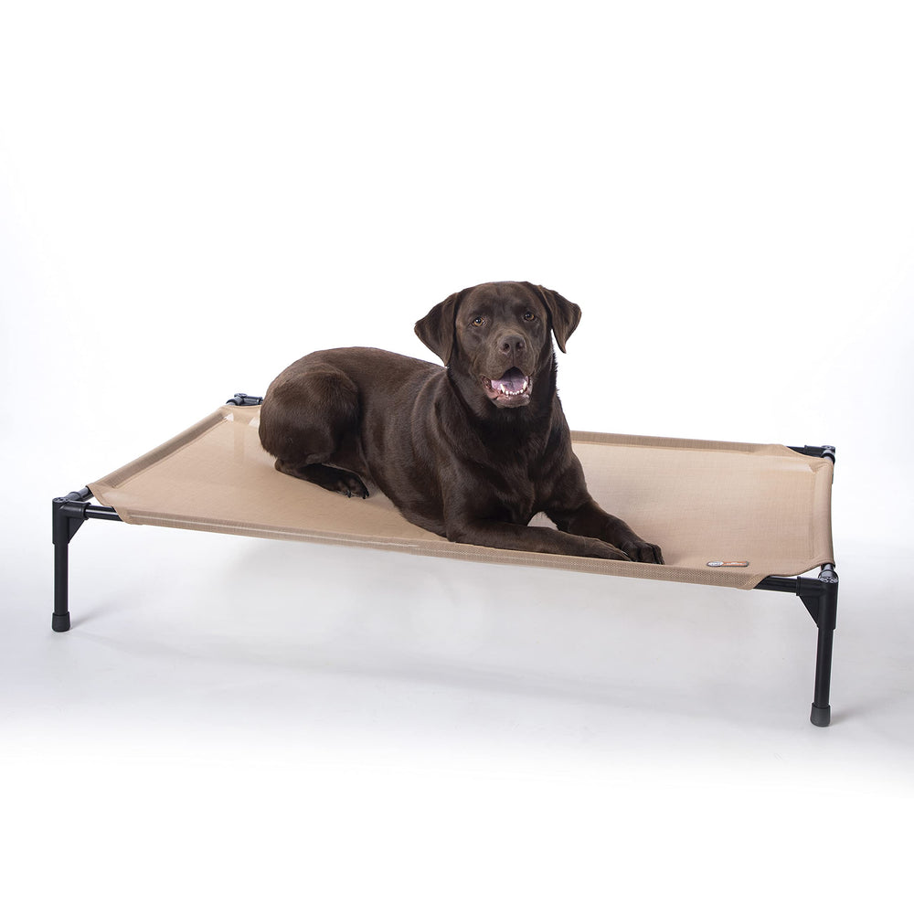 K&H lit-chien elevé extérieur avec cadre métallique et mesh respirant.