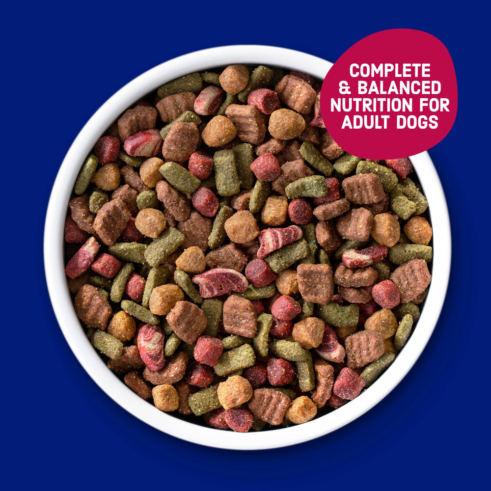 Kibbles 'n Bits Bistro emballage pratique avec 4 sachets 3,5 lb.