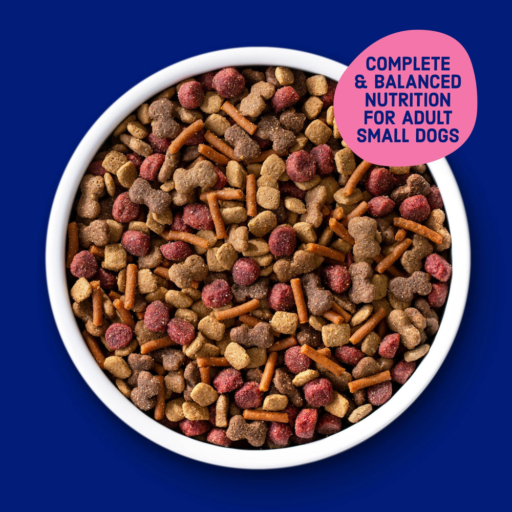 Kibbles n Bits Mini Bits bouchées petites, faciles à mâcher