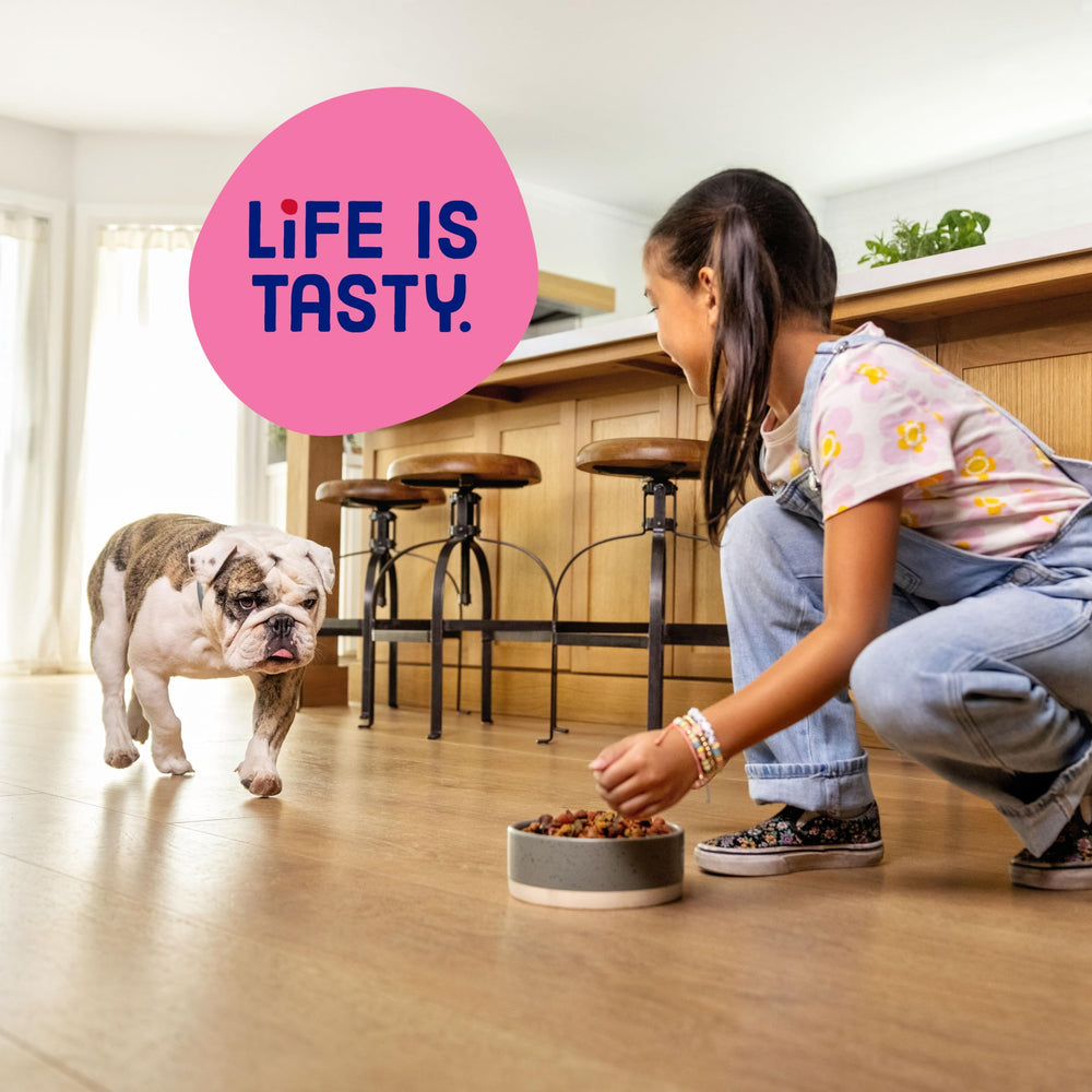 Kibbles 'n Bits Mini Bits – quatre sacs assurent une solution pratique et durable.