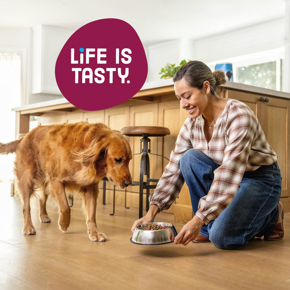 Morceaux de viande tendre dans Kibbles 'n Bits pour bouchées satisfaisantes