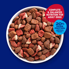 Kibbles 'n Bits Triple Steak dans bol, repas équilibré pour chien de tous jours.