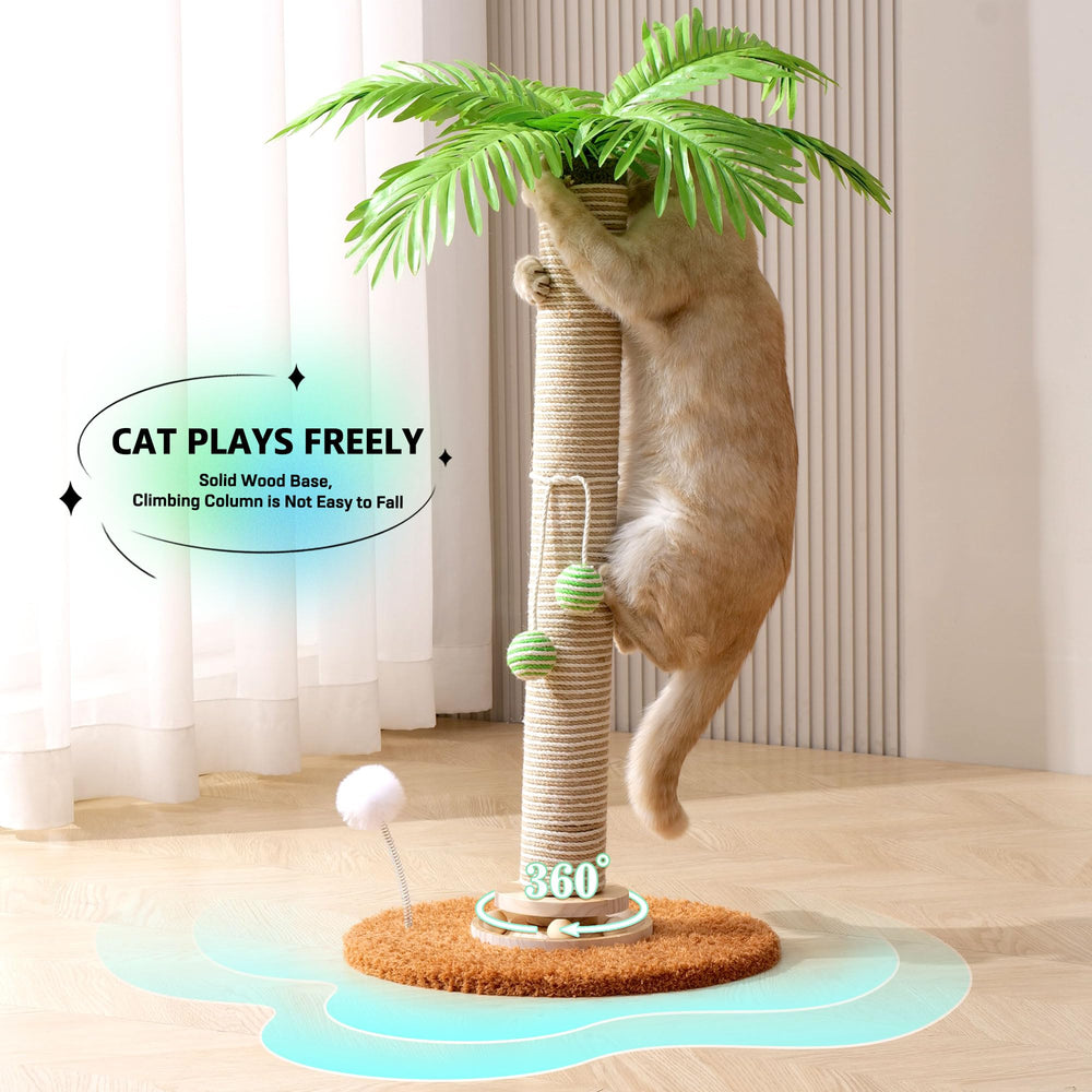 Kicari balle-interactive-chat, distraction ludique intégrée pour l'escalade.