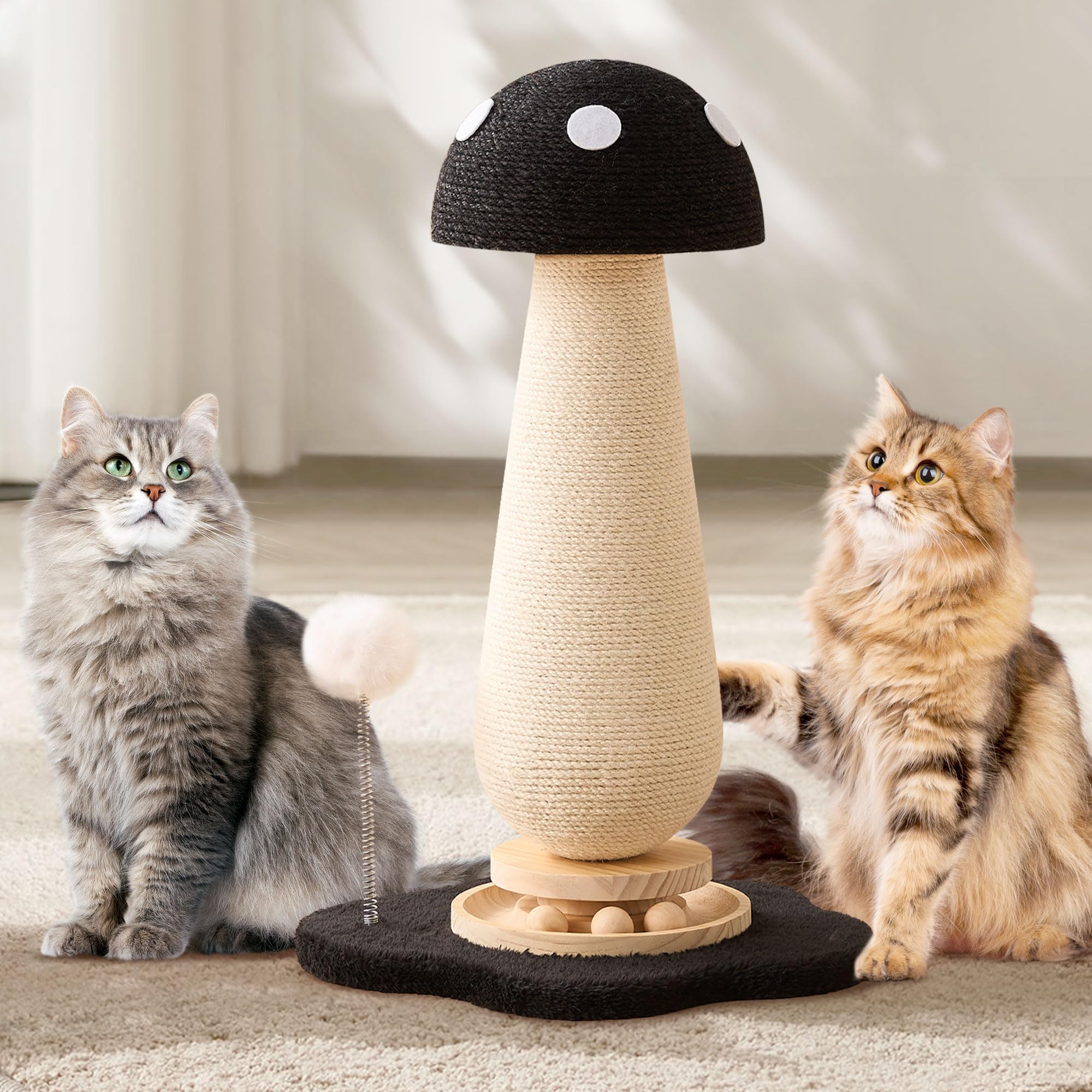 Kicari base-stable et renforcée assure la stabilité du chat.
