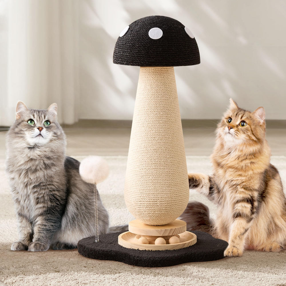 Kicari base-stable et renforcée assure la stabilité du chat.