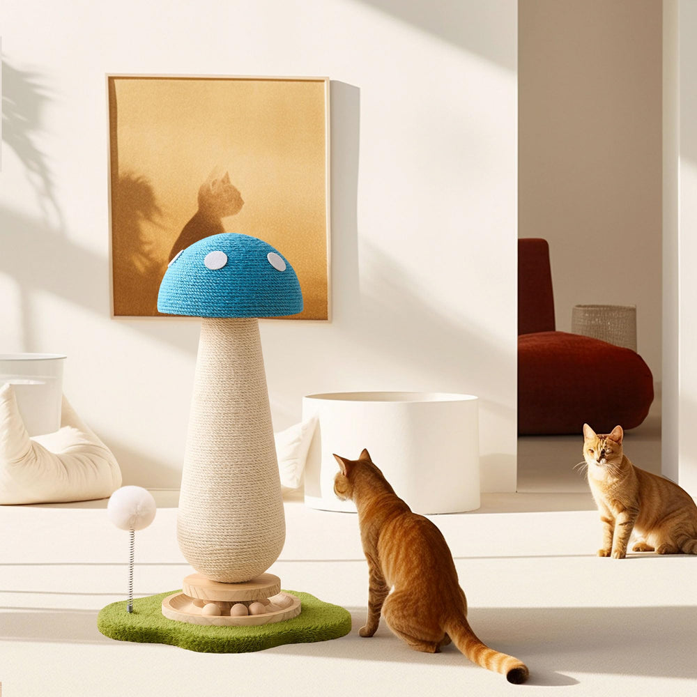 Kicari griffage sisal grand espace pour chats actifs