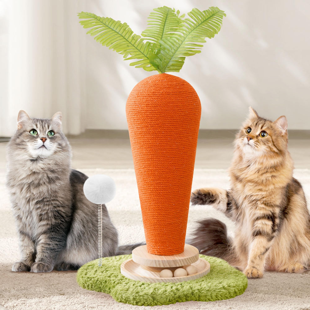 Kicari griffoir chat carotte avec base naturelle offre une grande surface de griffage.