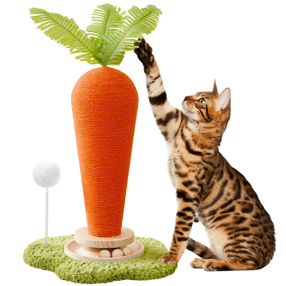Kicari design intérieur convient parfaitement pour les chats vivant en appartement.