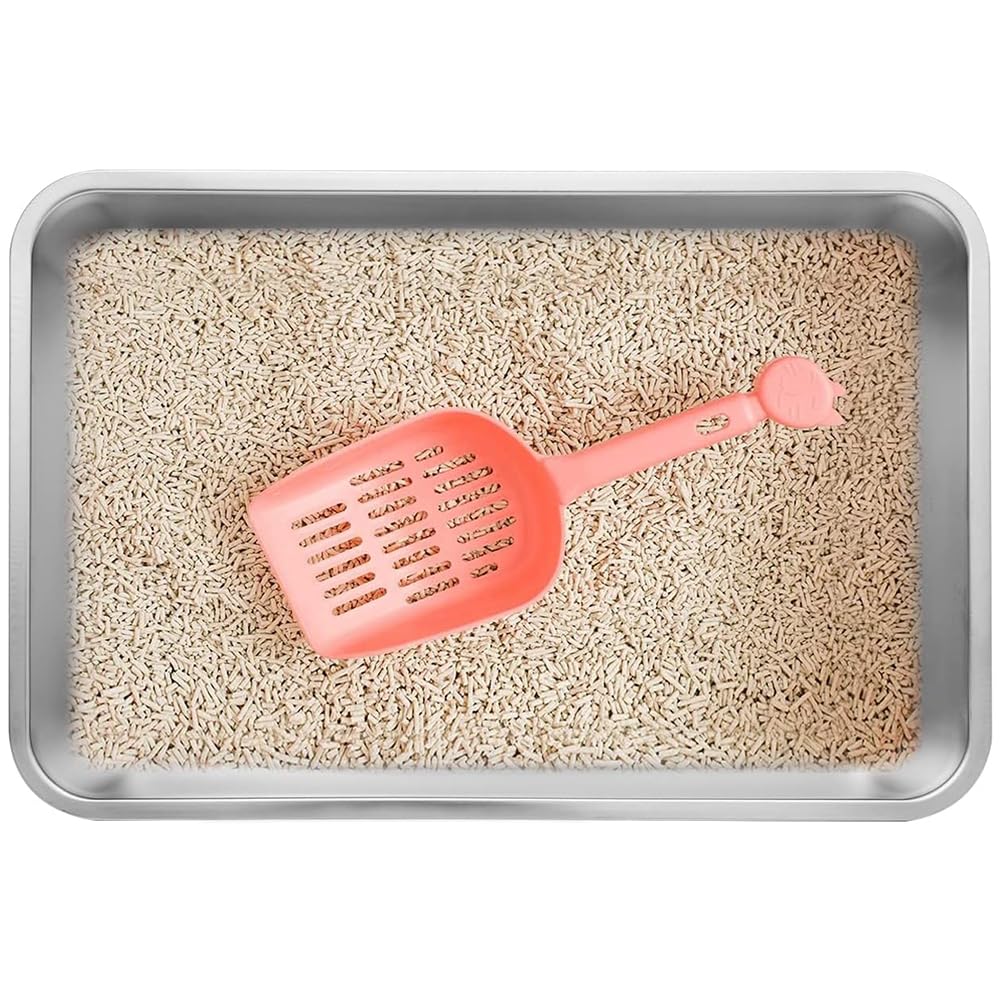 Kichwit bac anti-odeur en inox, espace plus frais
