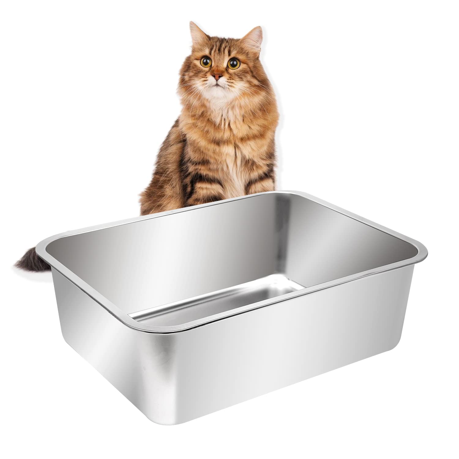 Kichwit bac litière ouvert en inox, grande taille pour chats spacieux, facilité d'utilisation