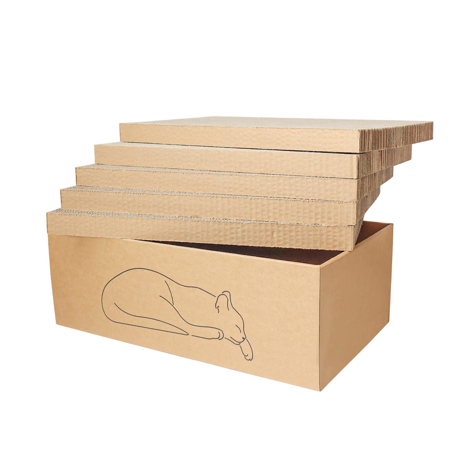 Kidding Pets grattoir chat dans une boîte rectangulaire, espace de jeu généreux.