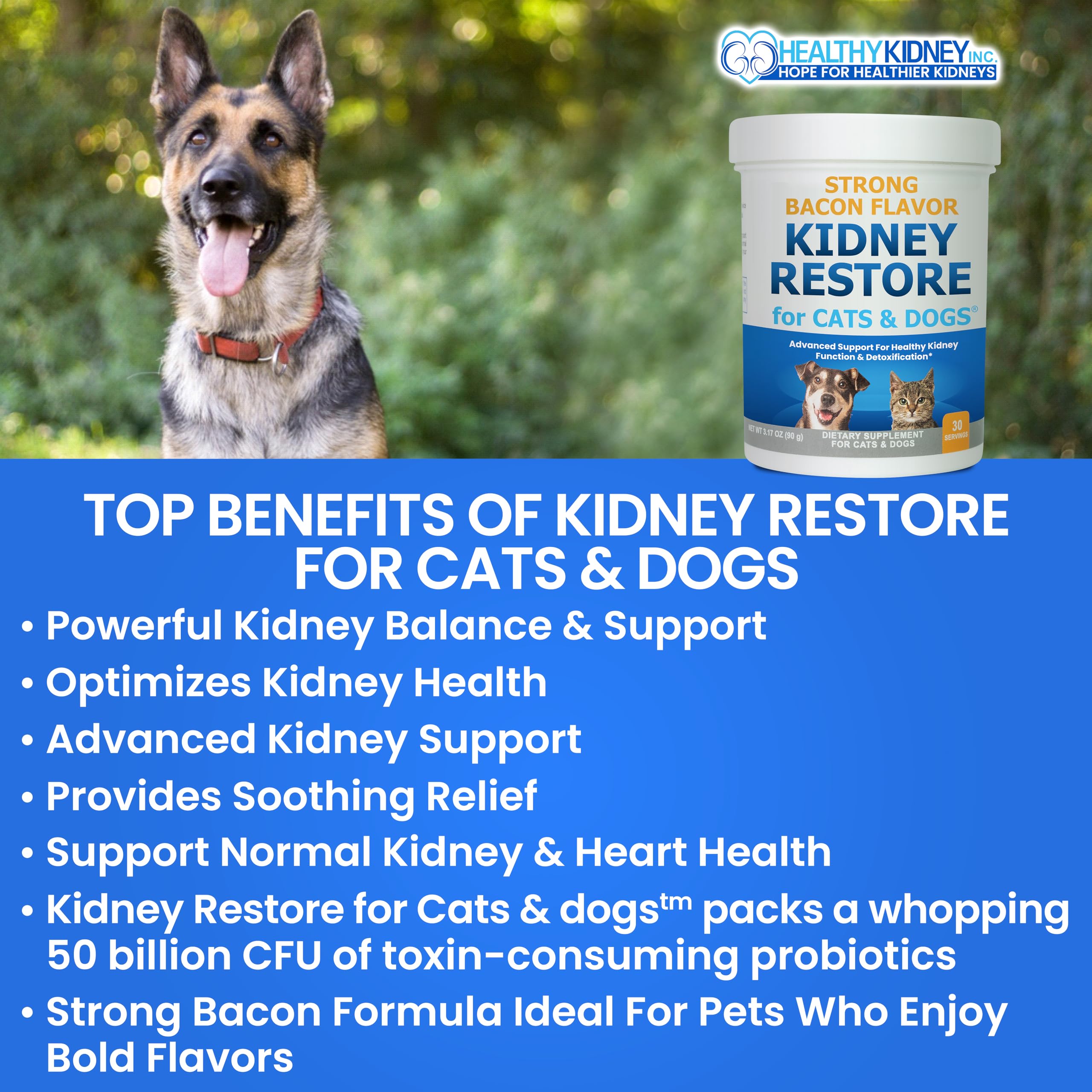 Kidney Restore: bicarbonate de sodium pour neutraliser les acides et toxines