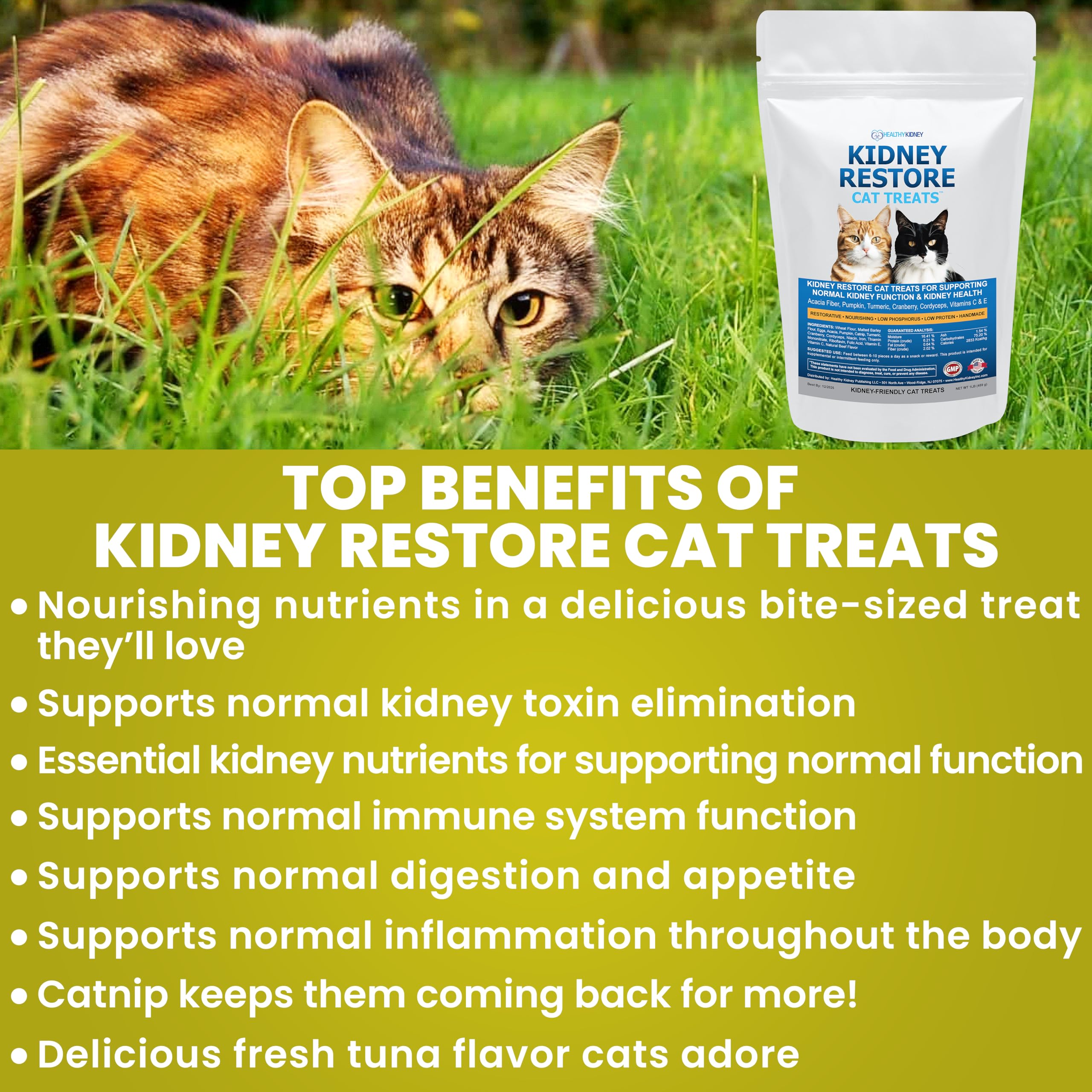 Ingrédients clés: curcuma et canneberge dans Kidney Restore, formule complète.