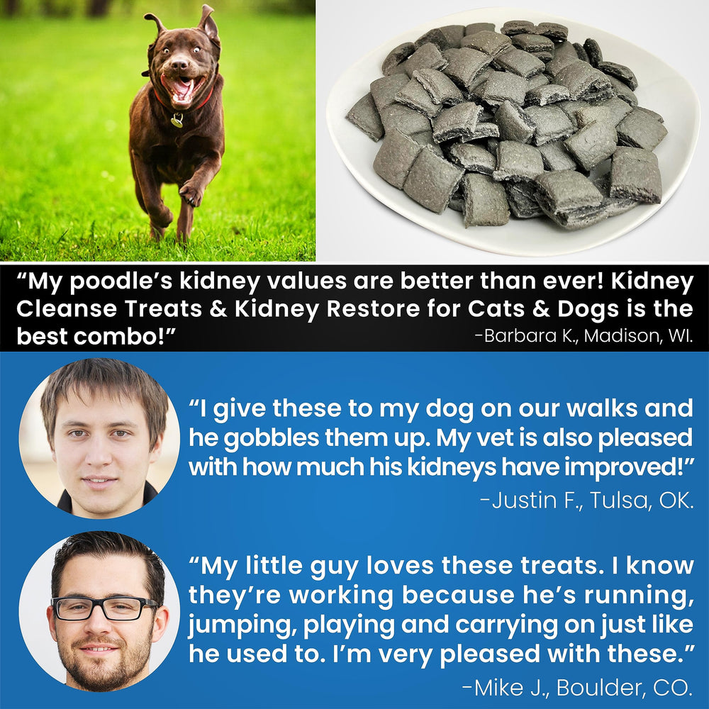 Kidney Restore: emballage pratique de 20 onces.