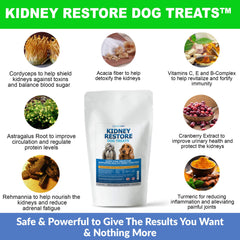 Kidney Restore ingrédients herbes rénales, mélange potentiel pour le bien-être rénal.
