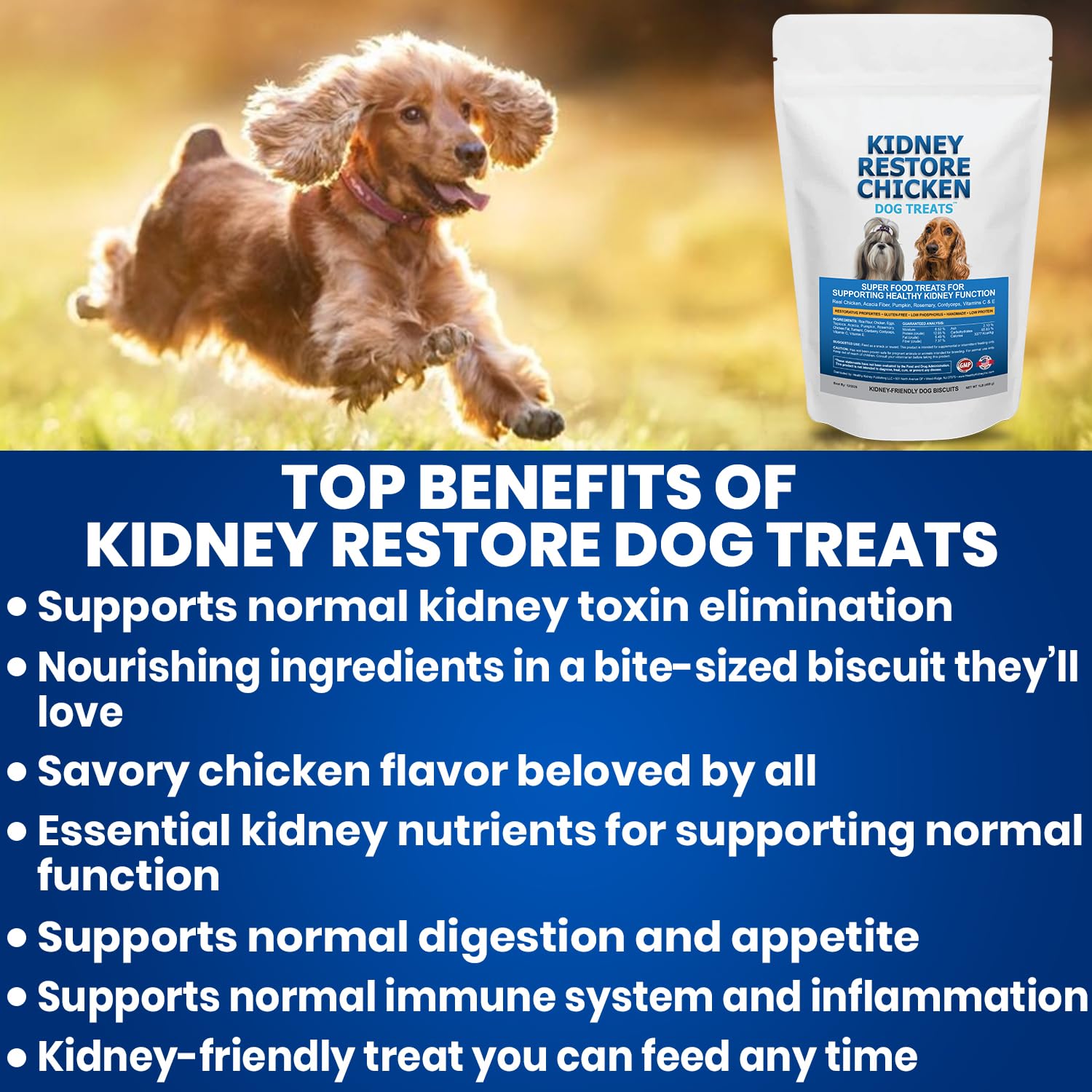 Kidney Restore snack quotidien chien poulet, moment de réconfort et motivation.