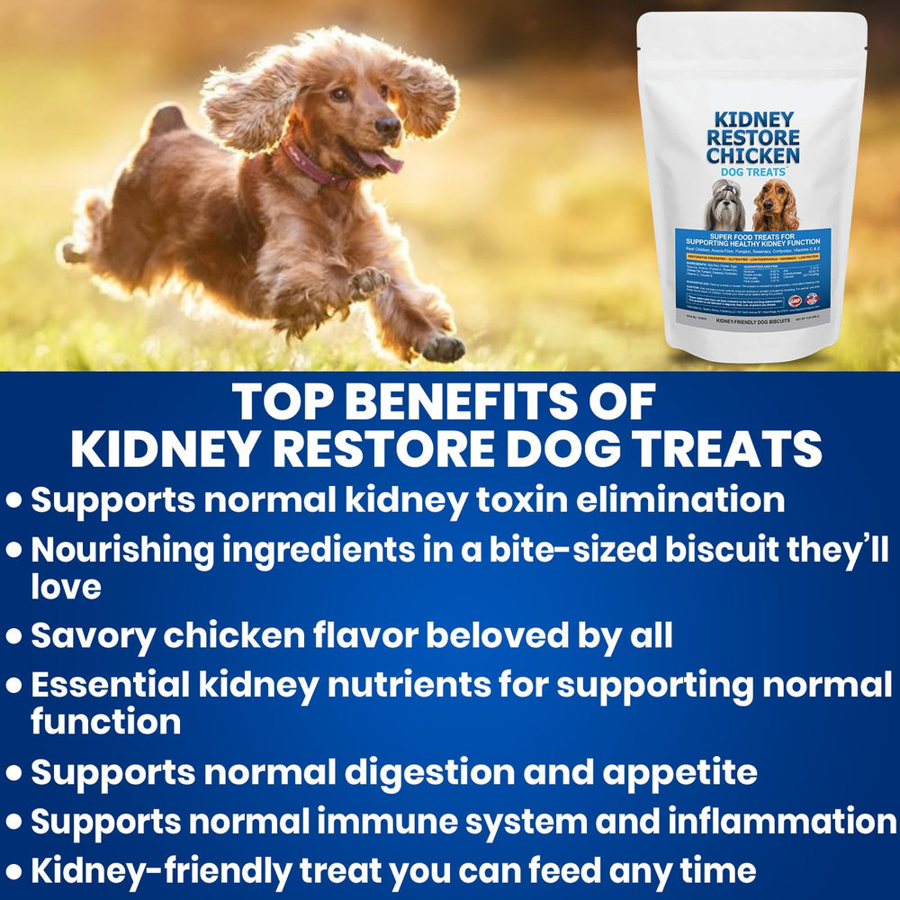 Kidney Restore snack quotidien chien poulet, moment de réconfort et motivation.
