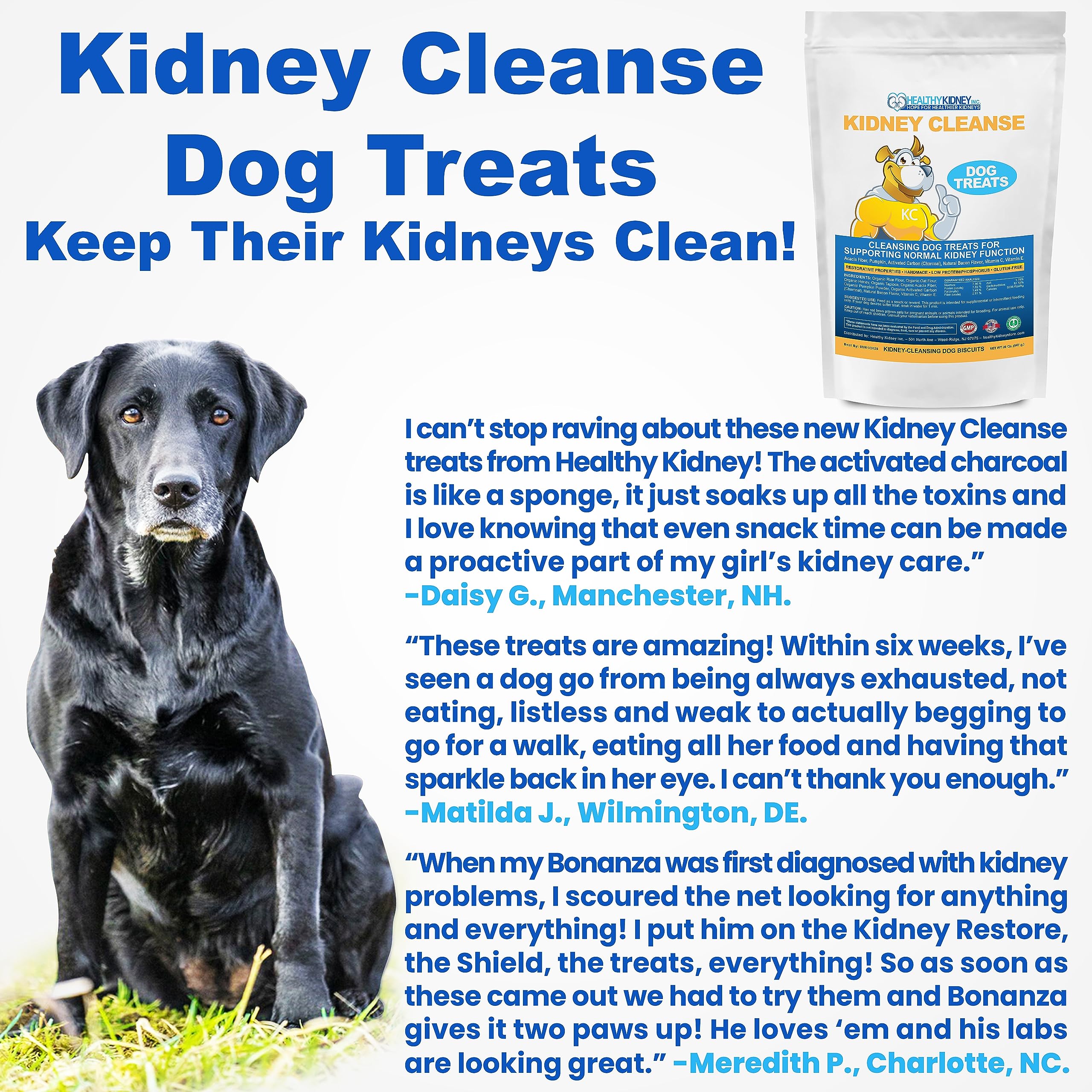Kidney Restore: friandise rénale pour chien, soutien potentiel.