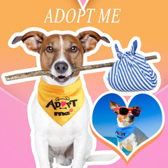 Kigeli bandanas couleurs vives, relooking facile pour chiens et chats