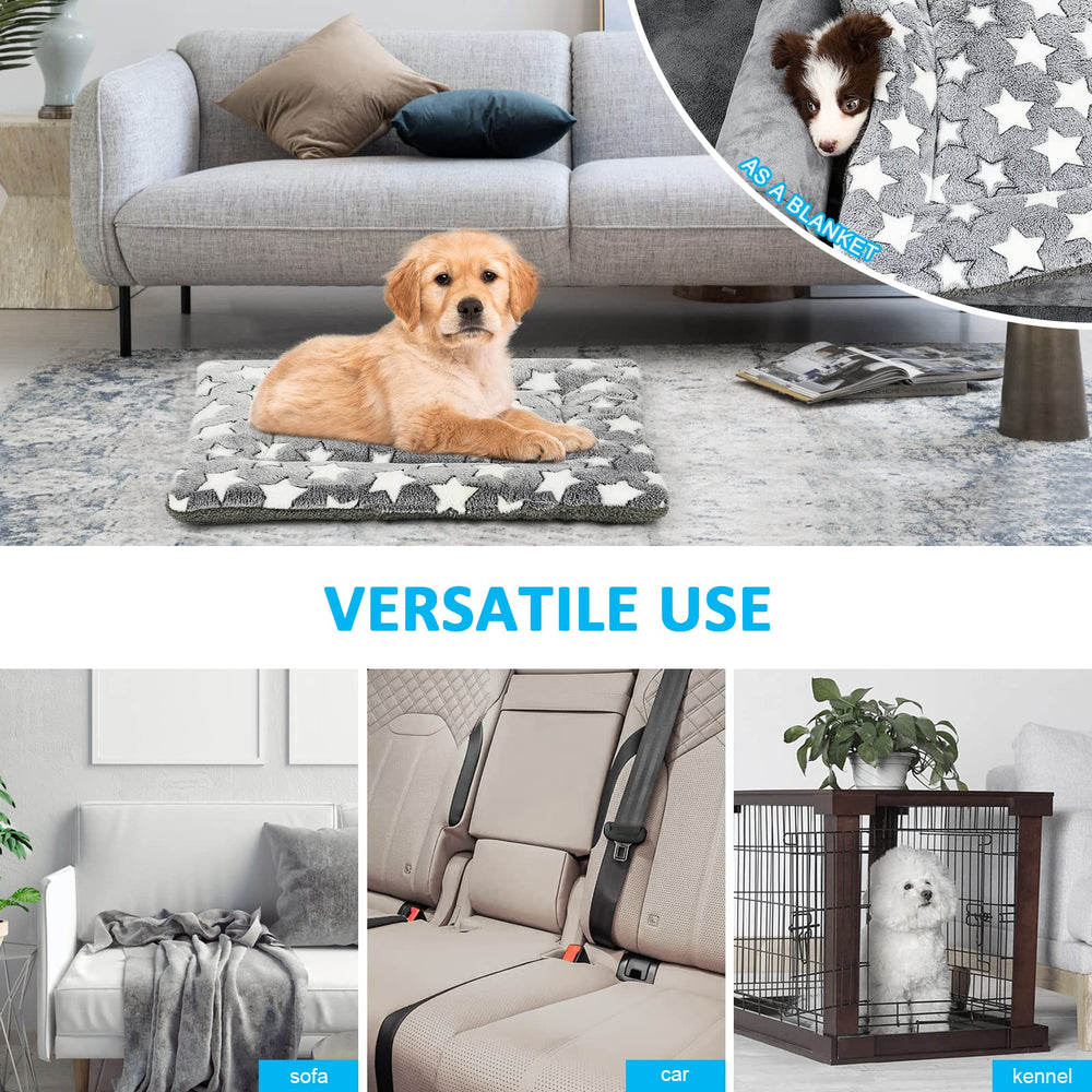 Tapis-chien-nettoyage-machine Kigmmro: entretien pratique et durable.
