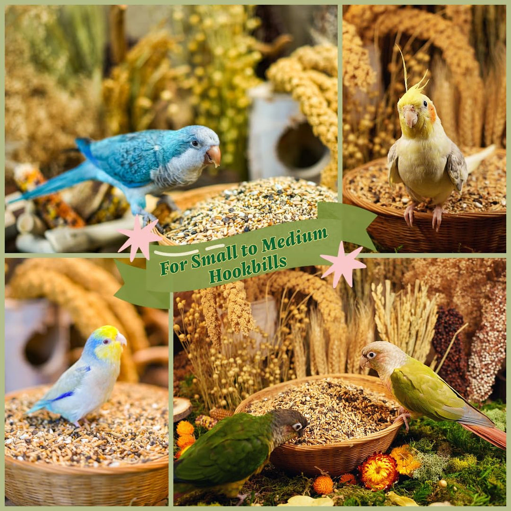 KikiBirds, parfait avec pellets et fruits pour une alimentation équilibrée.