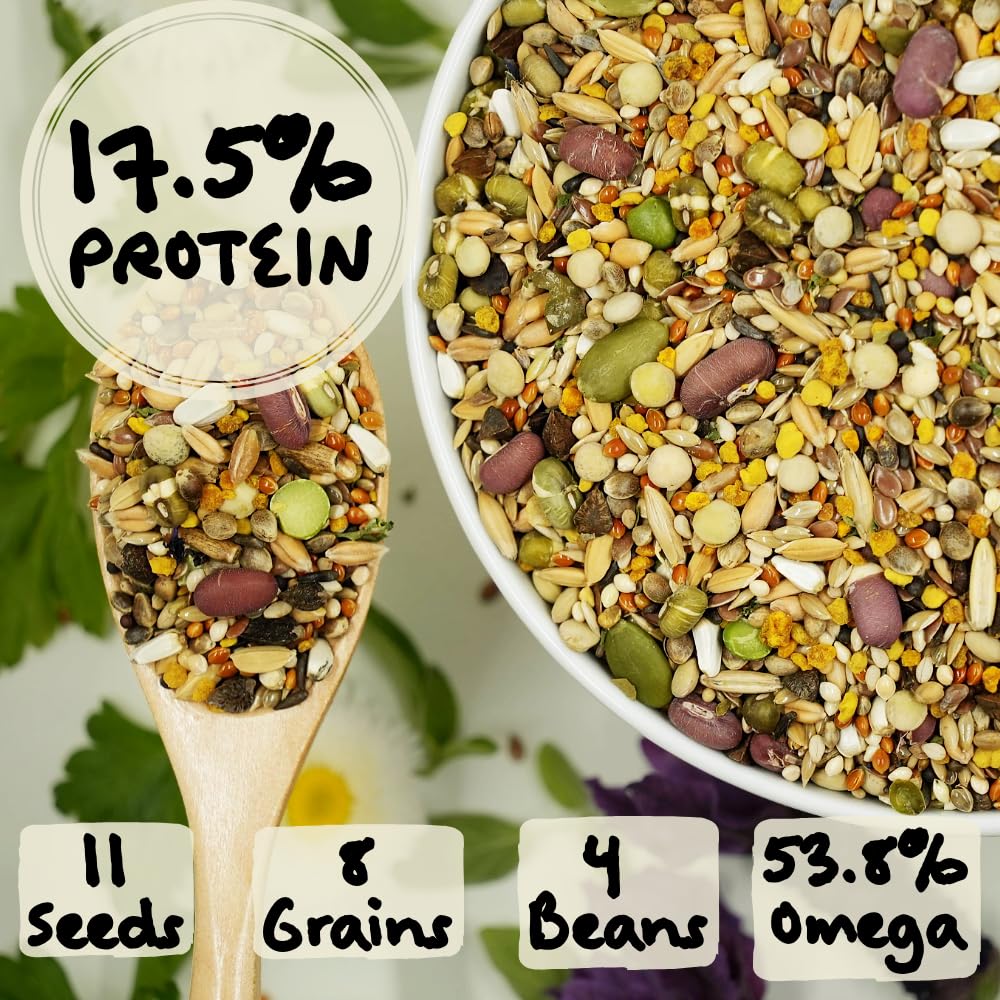 KikiBirds Feather Shine mélange alimentaire présente un mélange nutritif et équilibré.