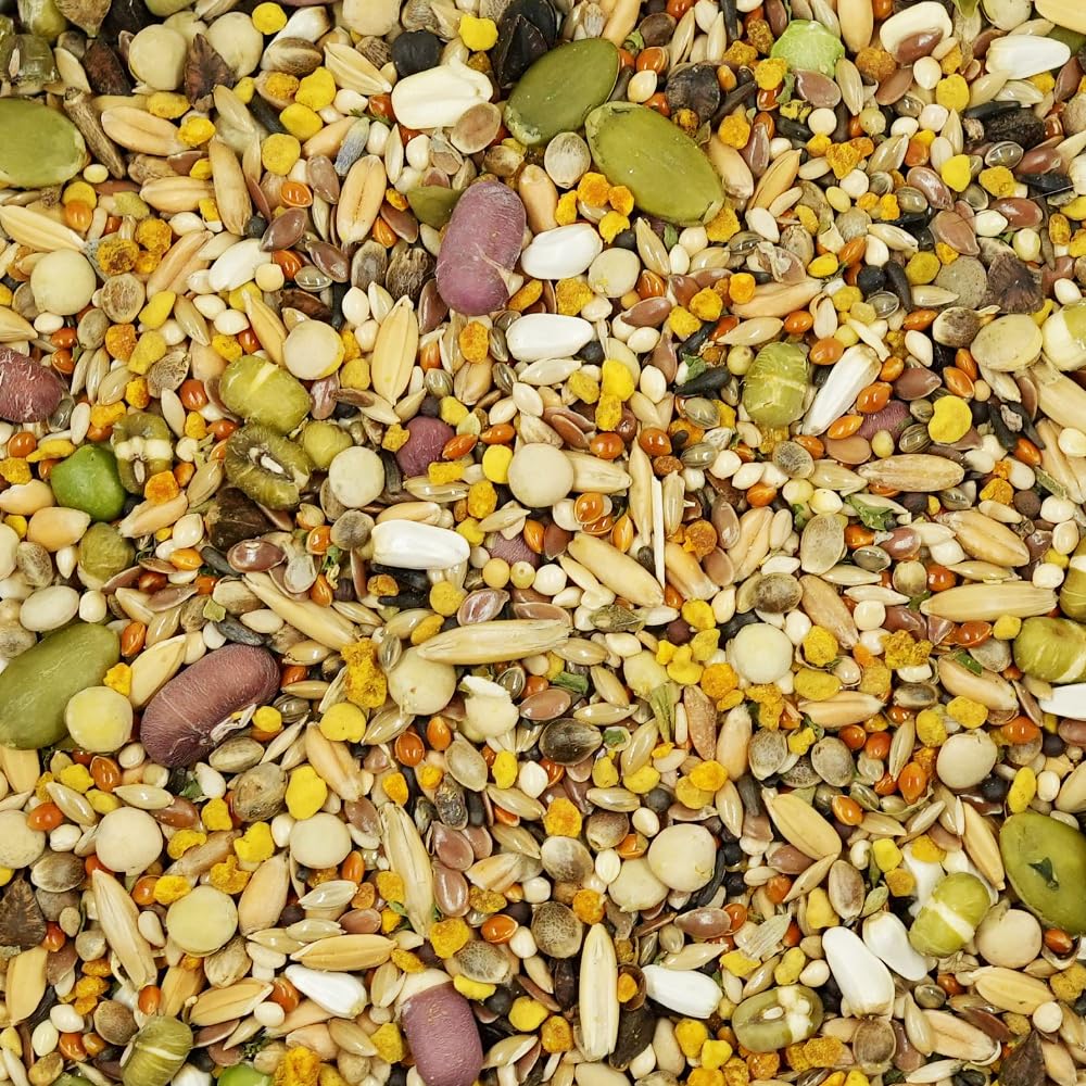 KikiBirds Feather Shine texture-grains croquante pour stimuler l'appétit.