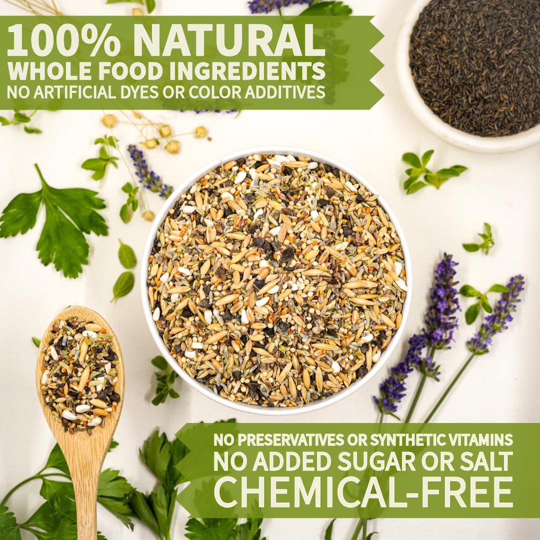 KikiBirds, forage naturel et stimulation du bec pendant l’alimentation.