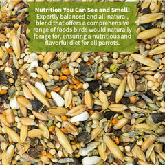 KikiBirds, mélange de grains entiers et graines gourmet pour variété nutritionnelle.