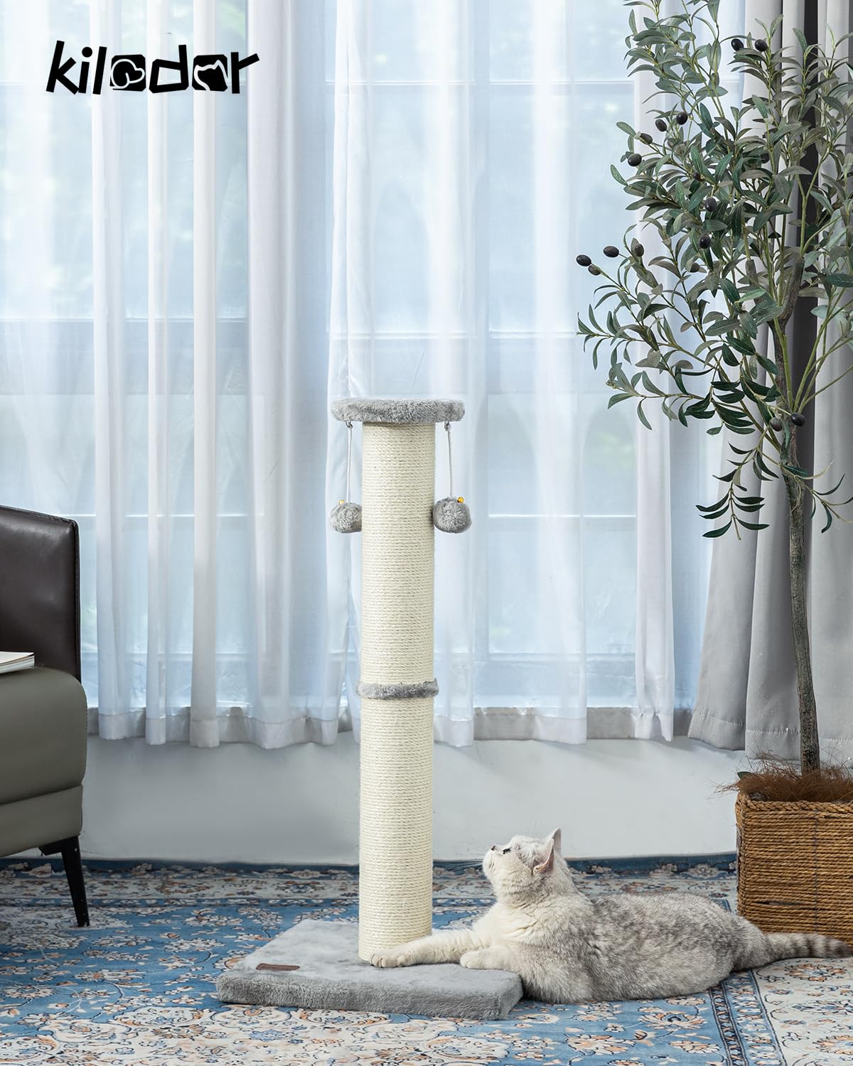 Surface sisal grand diamètre pour griffage et protection des meubles