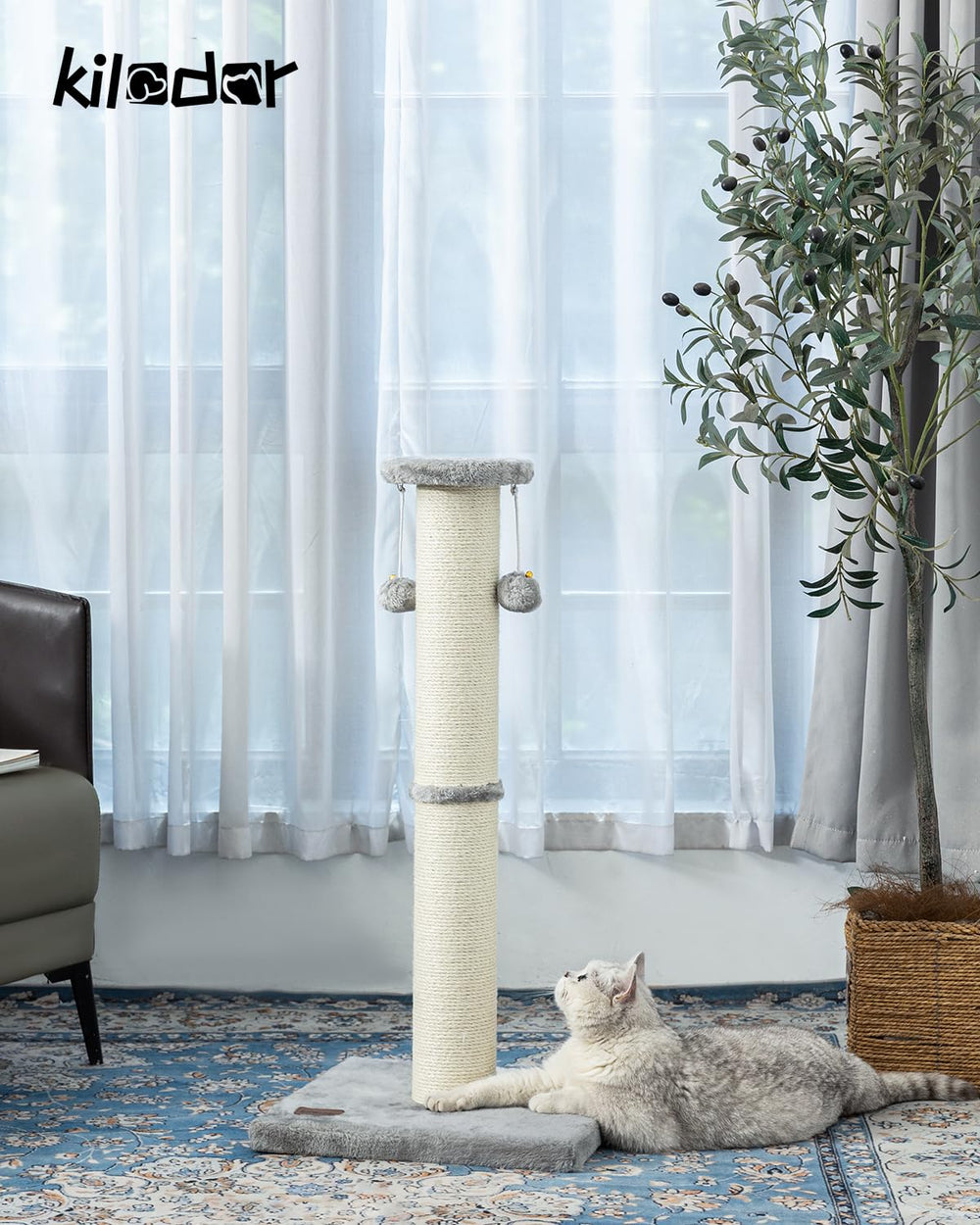 Surface sisal grand diamètre pour griffage et protection des meubles