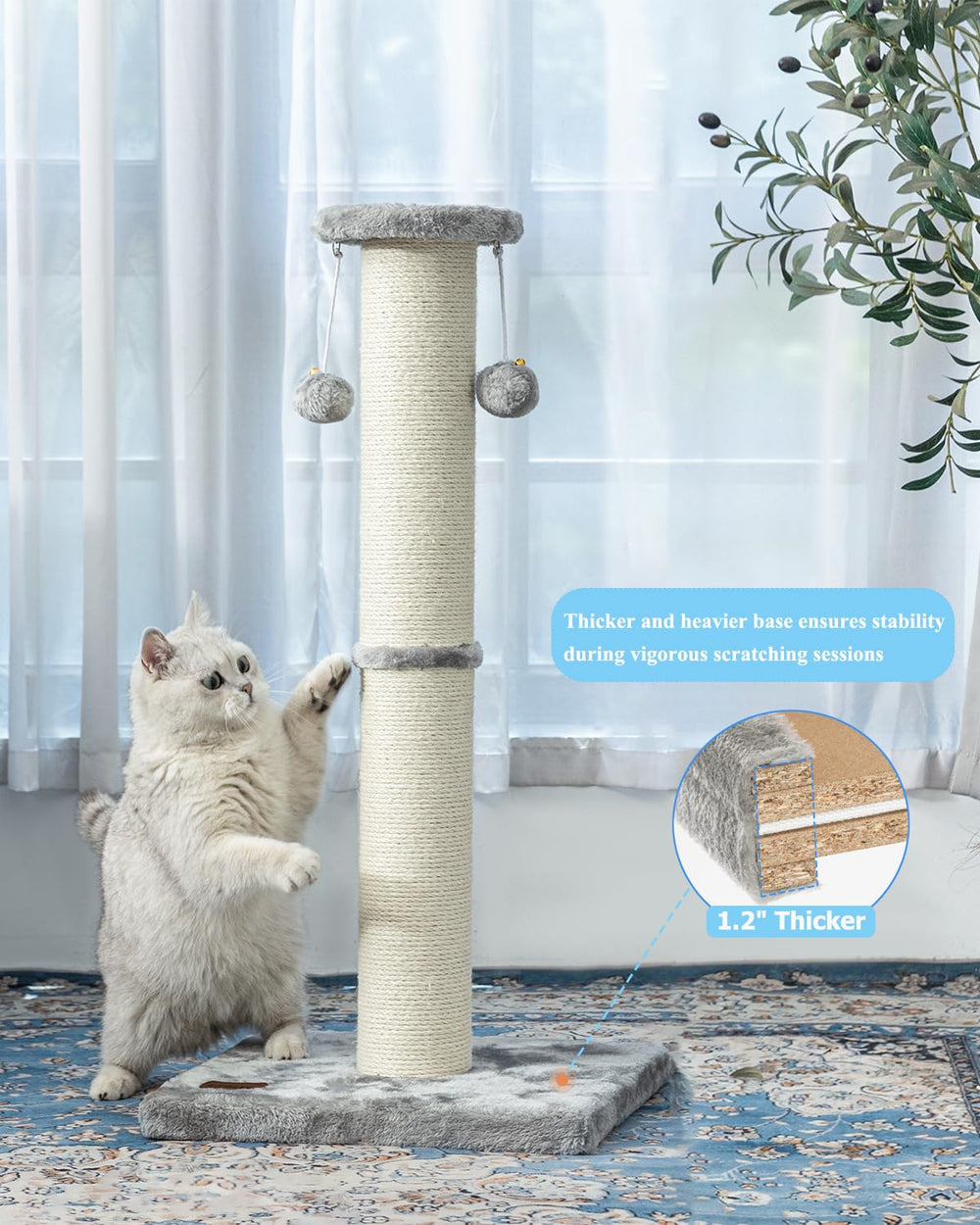 Usage intérieur recommandé pour chats adultes à la maison