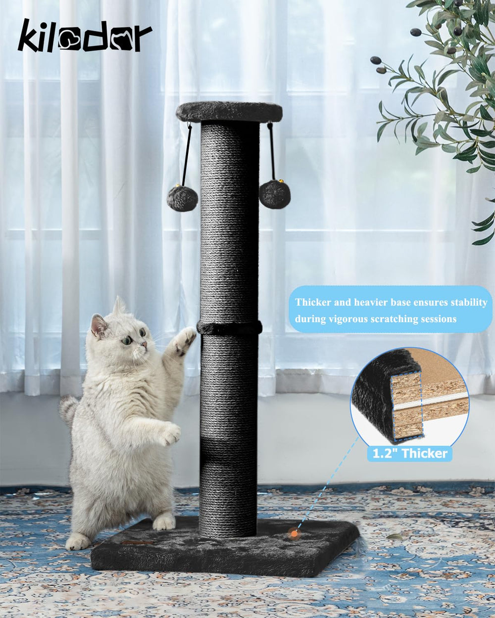 Kilodor utilisation en intérieur, idéal pour chats adultes et jeunes.