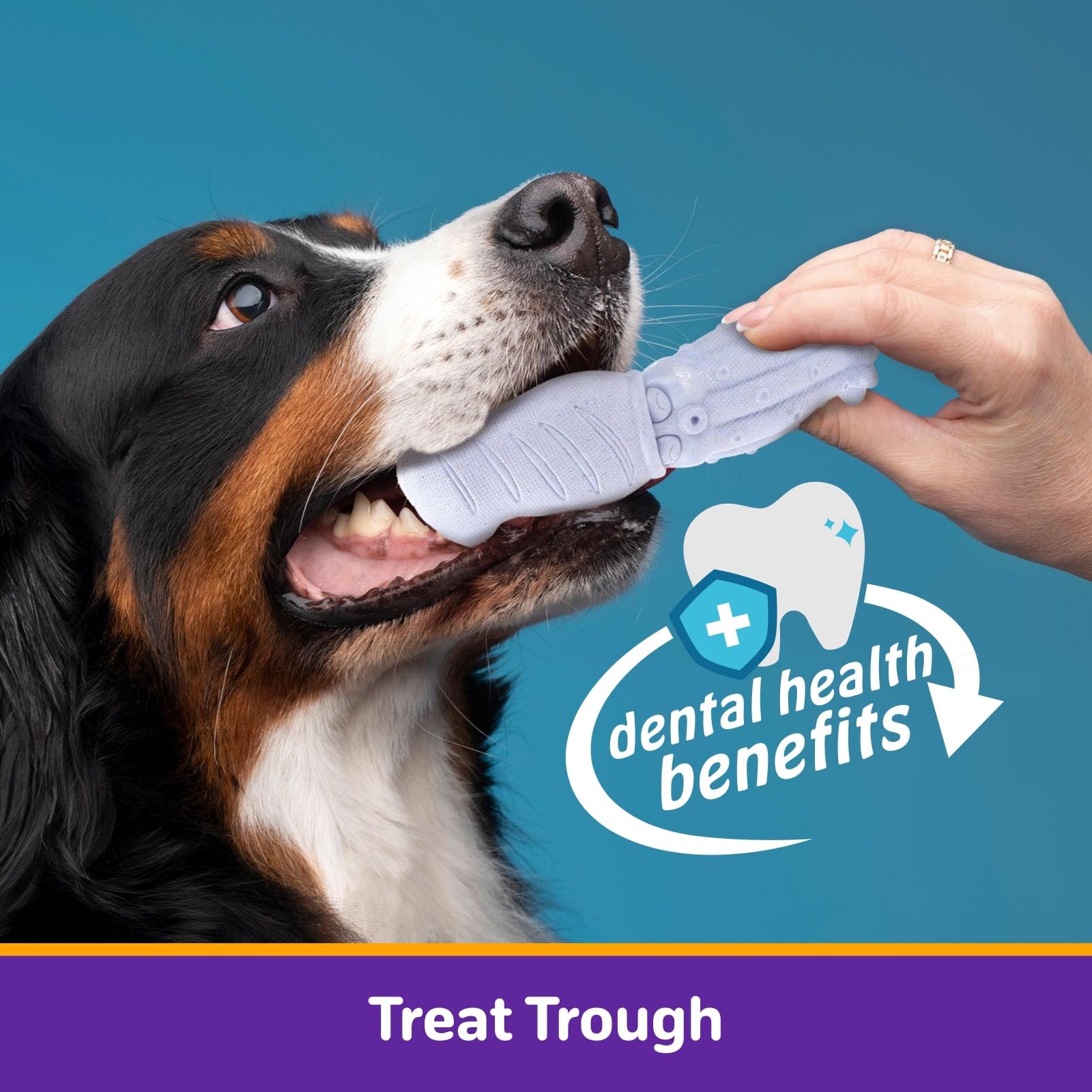 Jouet Kimee Cadeau idéal pour les amateurs de chiens lors d’occasions.