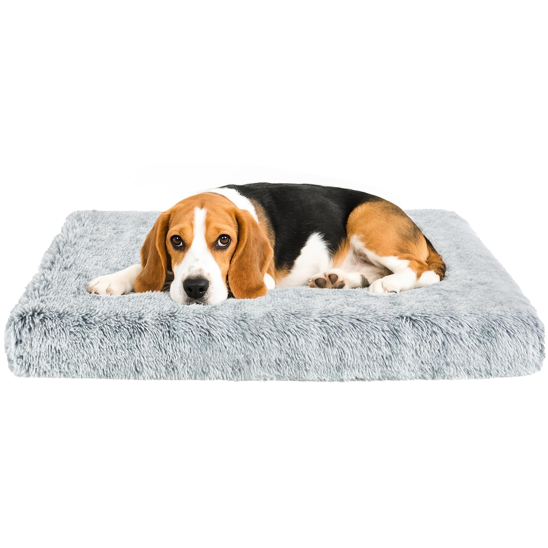 Lit chien orthopédique Kimpets avec matelas peluche pour repos douillet.