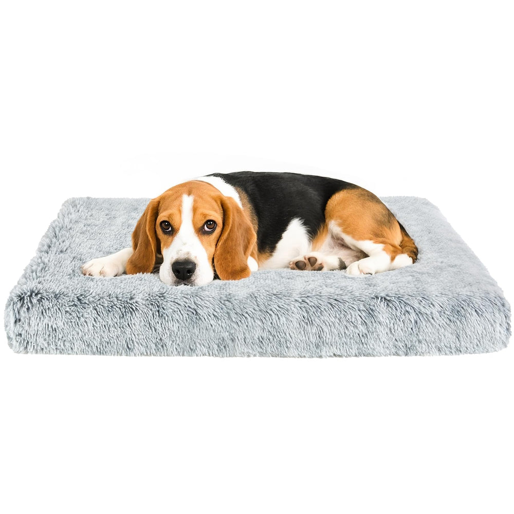 Lit chien orthopédique Kimpets avec matelas peluche pour repos douillet.