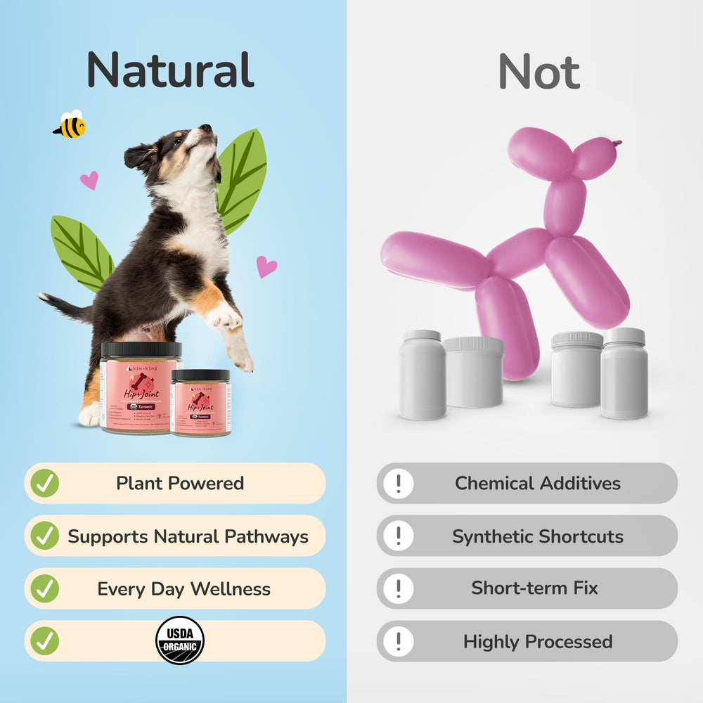 Kin+Kind formulation vétérinaire – soutien articulations en toute sécurité.