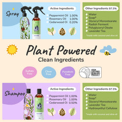 Kin+Kind Ingrédients Shampoing Lavande Coco Olive: soin naturel