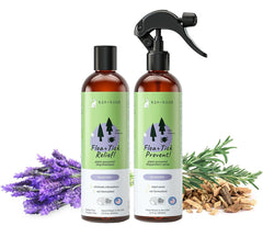 Kin+Kind Shampoing Chien Lavande 12oz: pelage propre et frais